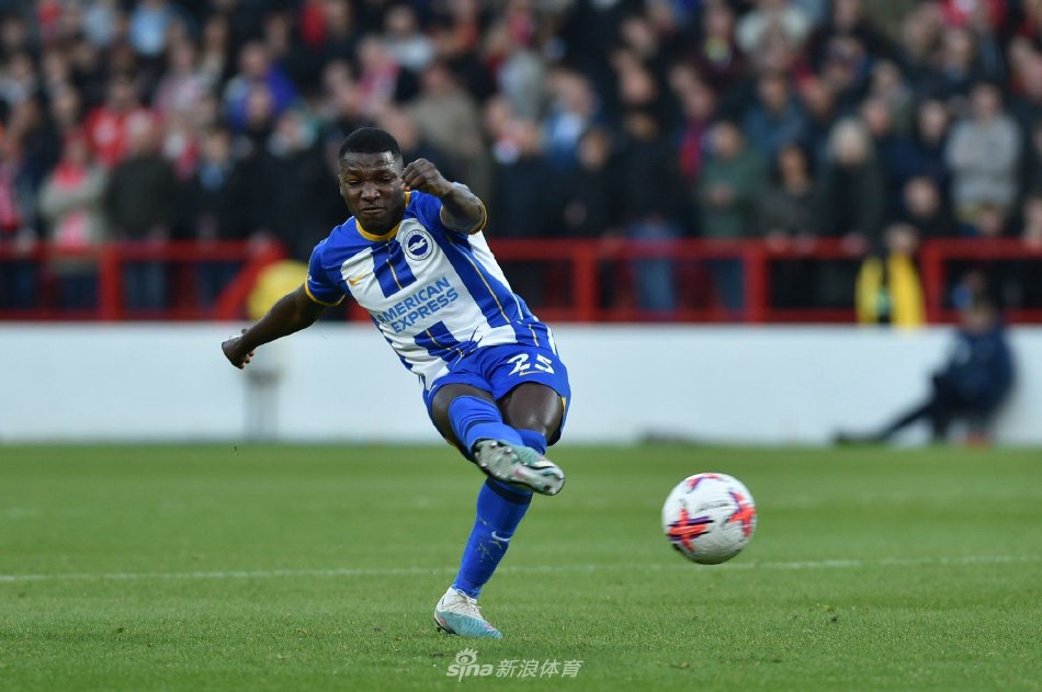 的欧洲杯上 的欧洲杯上